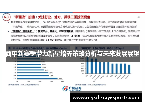西甲新赛季潜力新星培养策略分析与未来发展展望