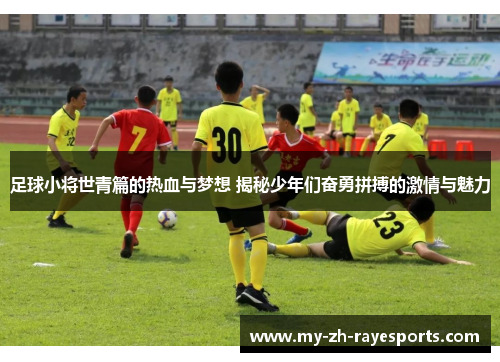 足球小将世青篇的热血与梦想 揭秘少年们奋勇拼搏的激情与魅力