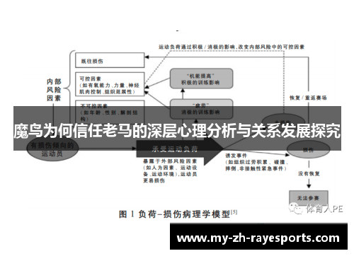 魔鸟为何信任老马的深层心理分析与关系发展探究 魔鸟为何信任老马的深层心理分析与关系发展探究